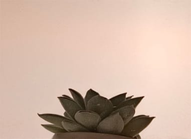 Rose Gold Mirror Stainless Steel Sheet (7)