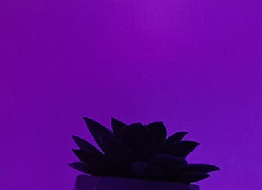 stainless steel pvd mirror sheet violet