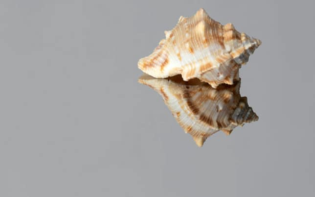 mirror stainless steel sheet finish